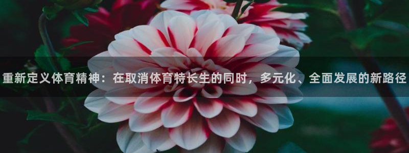 重新定义体育精神：在取消体育特长生的同时，多元化、全面发展的新路径