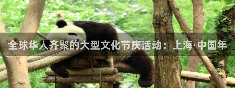 全球华人齐聚的大型文化节庆活动：上海·中国年