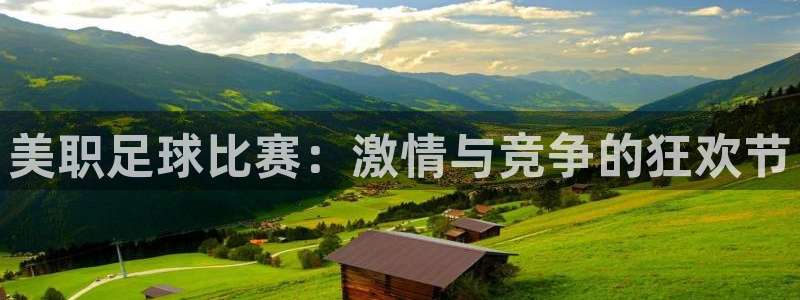 美职足球比赛：激情与竞争的狂欢节