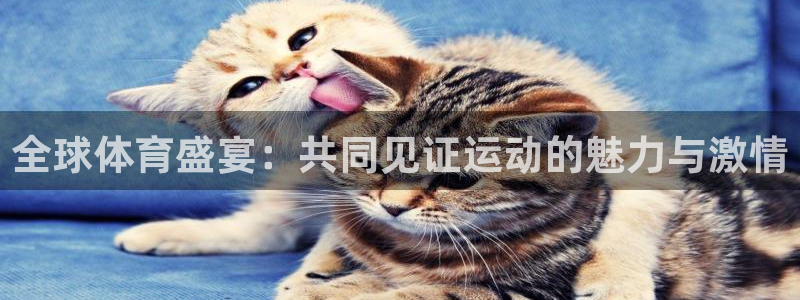 全球体育盛宴：共同见证运动的魅力与激情