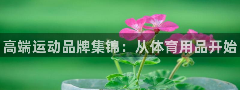 高端运动品牌集锦：从体育用品开始