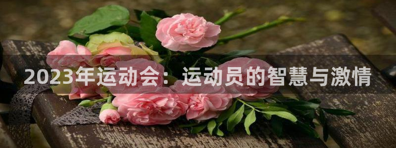 321直播nba：2023年运动会：运动员的智慧与激情
