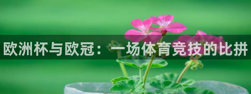 321体育直播最新赛程：欧洲杯与欧冠：一场体育竞技的比拼
