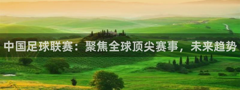 321直播nba：中国足球联赛：聚焦全球顶尖赛事，未来趋势