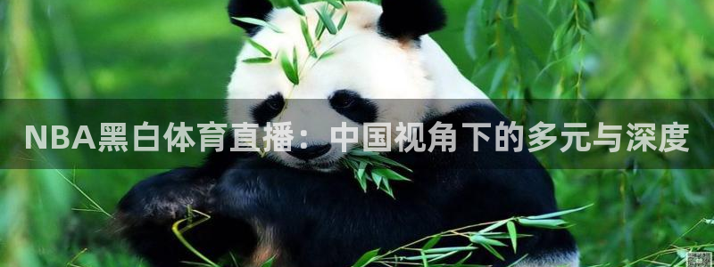 321直播体育app下载安装最新版本：NBA黑白体育直播：中国视角下的多元与深度