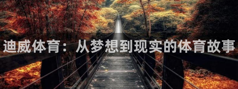 321tv直播体育：迪威体育：从梦想到现实的体育故事