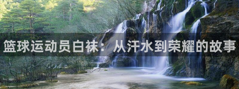 321体育直播免费观看：篮球运动员白袜：从汗水到荣耀的故事