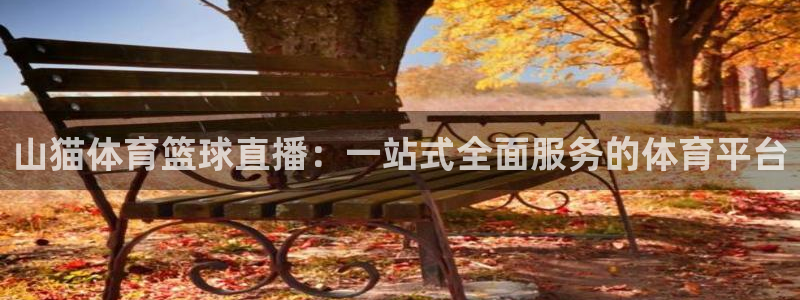 321nba直播：山猫体育篮球直播：一站式全面服务的体育平台
