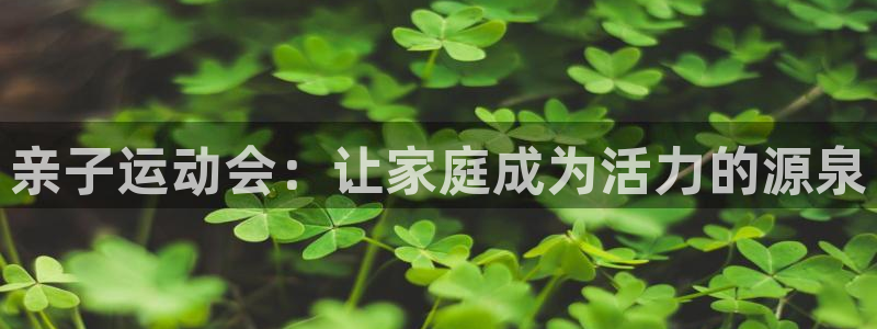 321体育直播入口：亲子运动会：让家庭成为活力的源泉