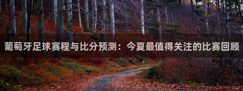 321体育：葡萄牙足球赛程与比分预测：今夏最值得关注的比赛回顾