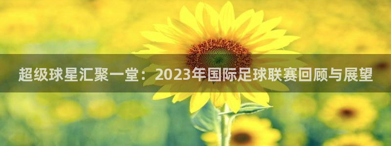 321体育直播最新赛程：超级球星汇聚一堂：2023年国际足球联赛回顾与展望