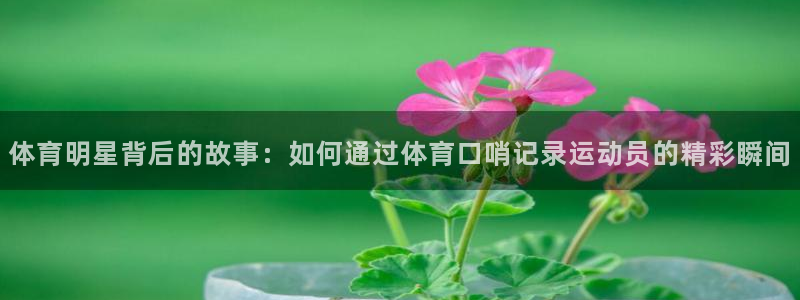 321看球直播