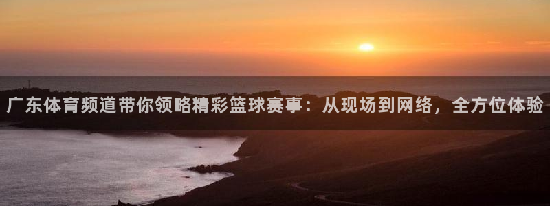 体育在线直播321：广东体育频道带你领略精彩篮球赛事：从现场到网络，全方位体验