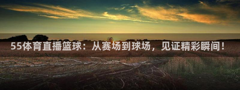 321体育免费直播：55体育直播篮球：从赛场到球场，见证精彩瞬间！