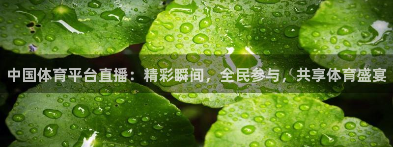 321体育直播免费观看入口：中国体育平台直播：精彩瞬间，全民参与，共享体育盛宴