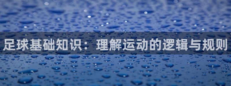 321直播体育：足球基础知识：理解运动的逻辑与规则