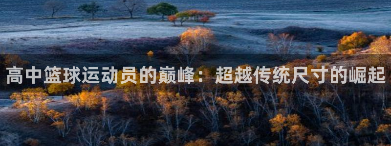 321足球直播：高中篮球运动员的巅峰：超越传统尺寸的崛起